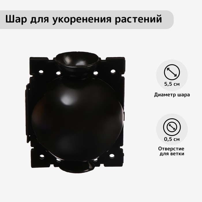 Шар для укоренения растений, d=5.5 см, под ветку 0.5 см, чёрный, Greengo