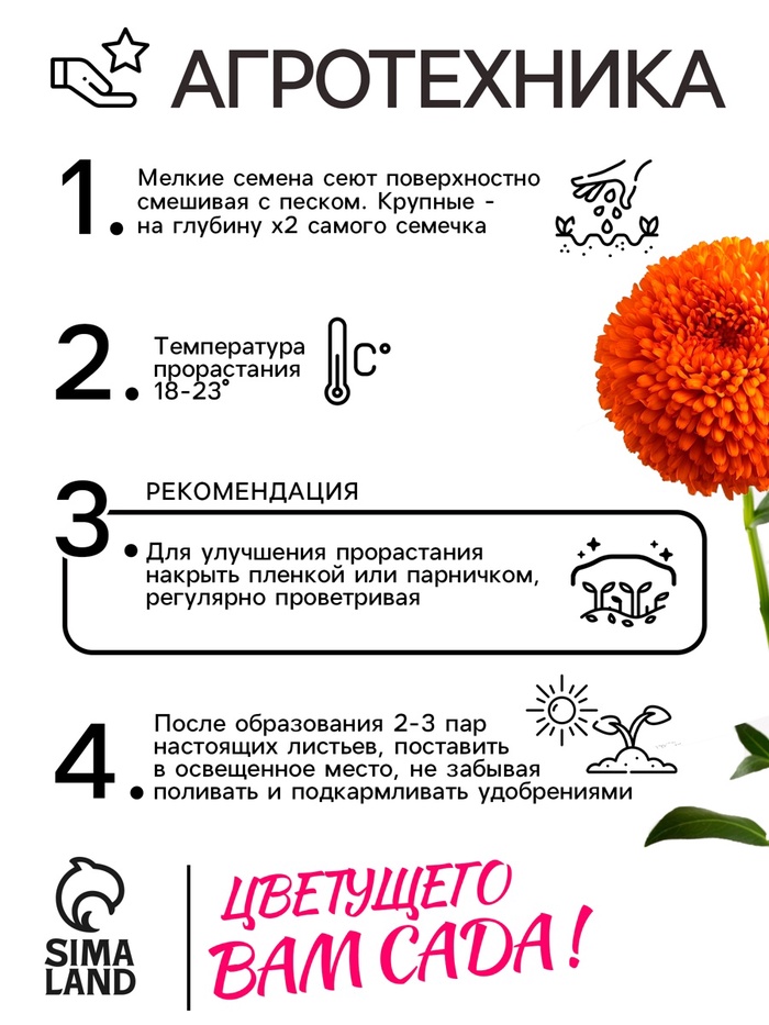 Семена цветов Астра «Монпансье», смесь окрасок, 0.2 г, однолетник, «Аэлита»