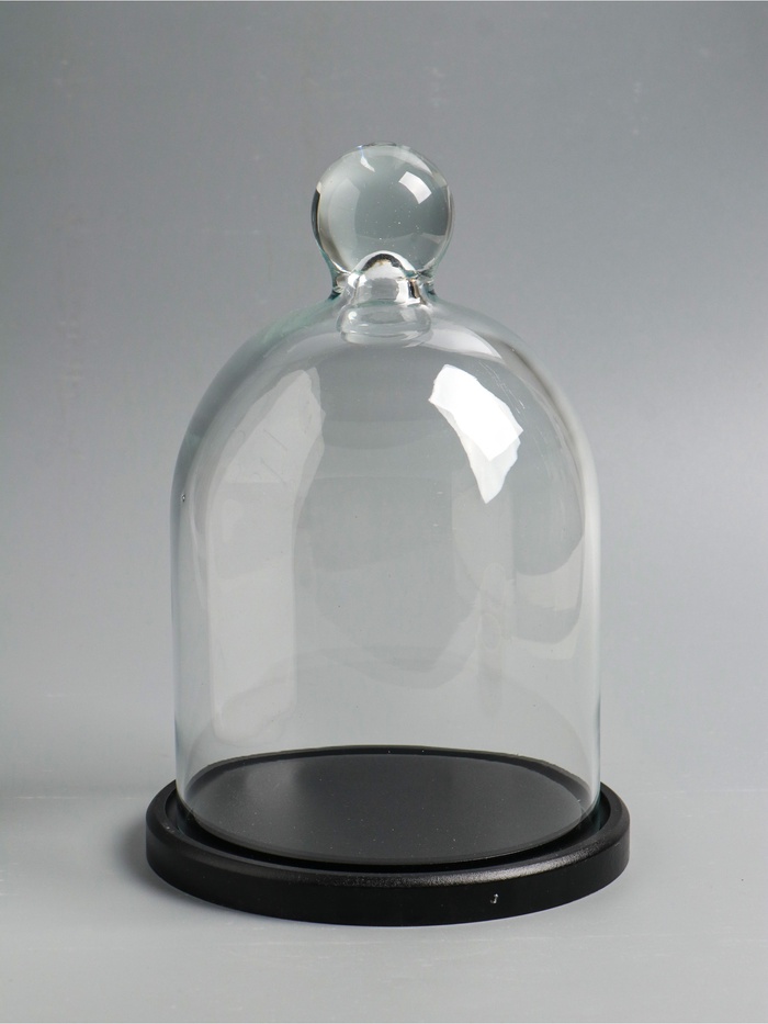 Стеклянный купол - клош на деревянной подставке, 17×25 см, чёрный