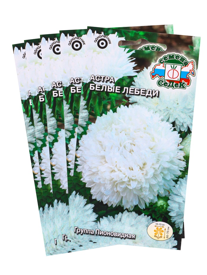 Набор семян Астра "Белые лебеди "0.2 г, 5 шт.