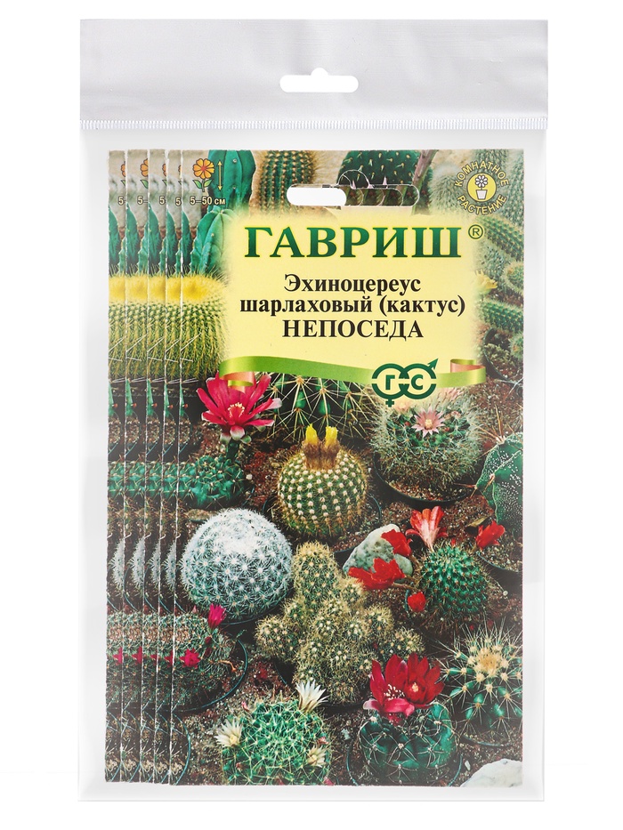 Набор семян комнатных Кактус "Непоседа",  5 шт.