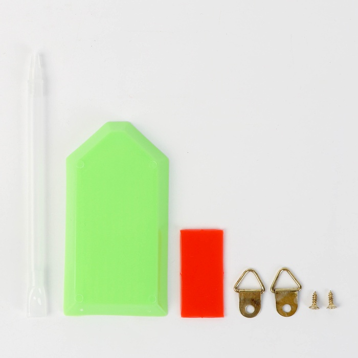 Алмазная вышивка полное заполнение «Астры», на раме, 40×50 см