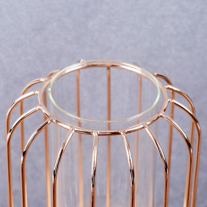 Ваза - флорариум «Ангстрем», колба в подставке, 9×20 см, стекло, прозрачная, золотистая