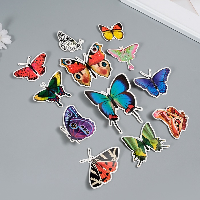 Набор магнитов на холодильник «Натуральные», 12 шт., картон, h=4-10 см