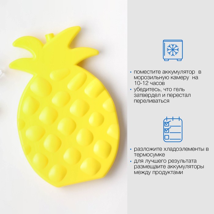 Аккумулятор холода гелевый «Мастер К», 250 мл, хладоэлемент для термосумок, 19.5×12.5 см