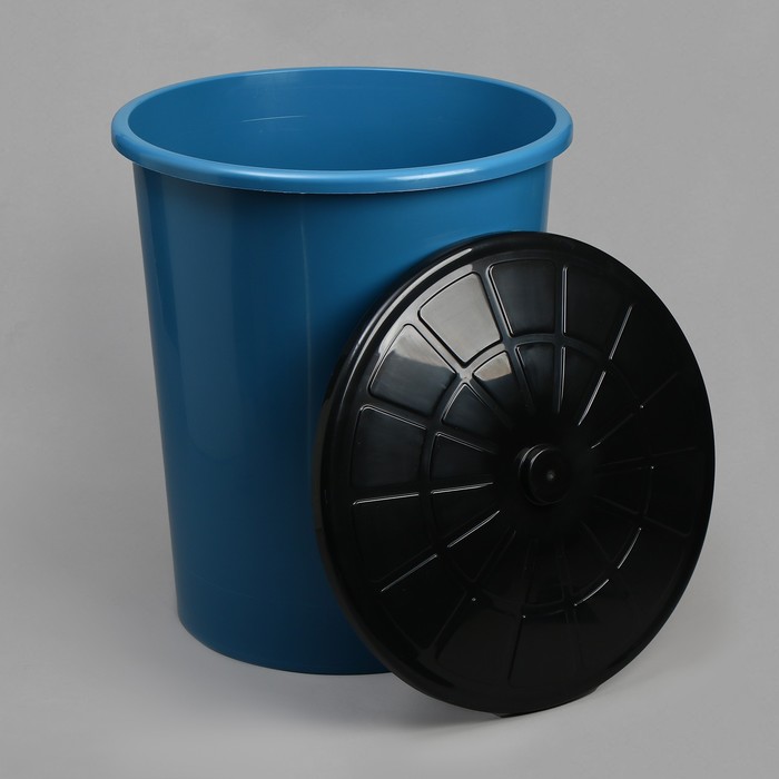 Бак хозяйственно - бытовой, 100 л, пластиковый, с крышкой, синий