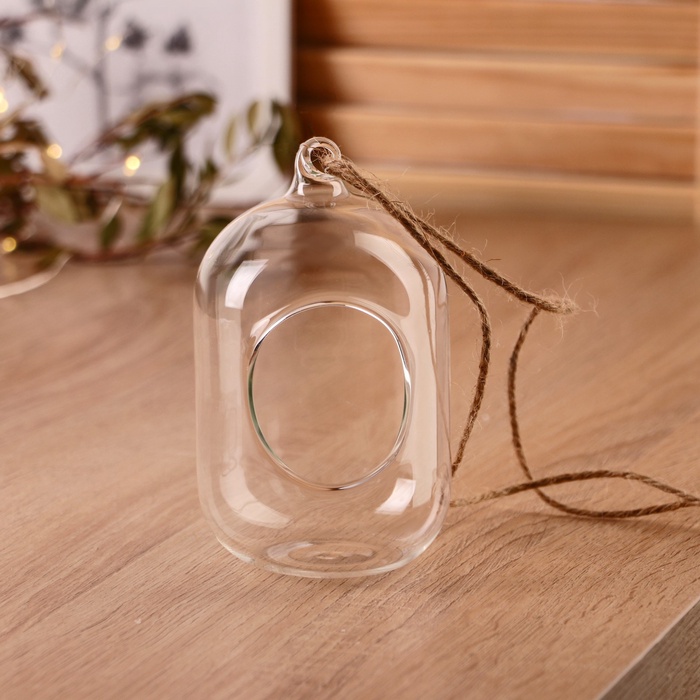 Флорариум «Цилиндр», с верёвкой, d=5×6 см, 8×12 см