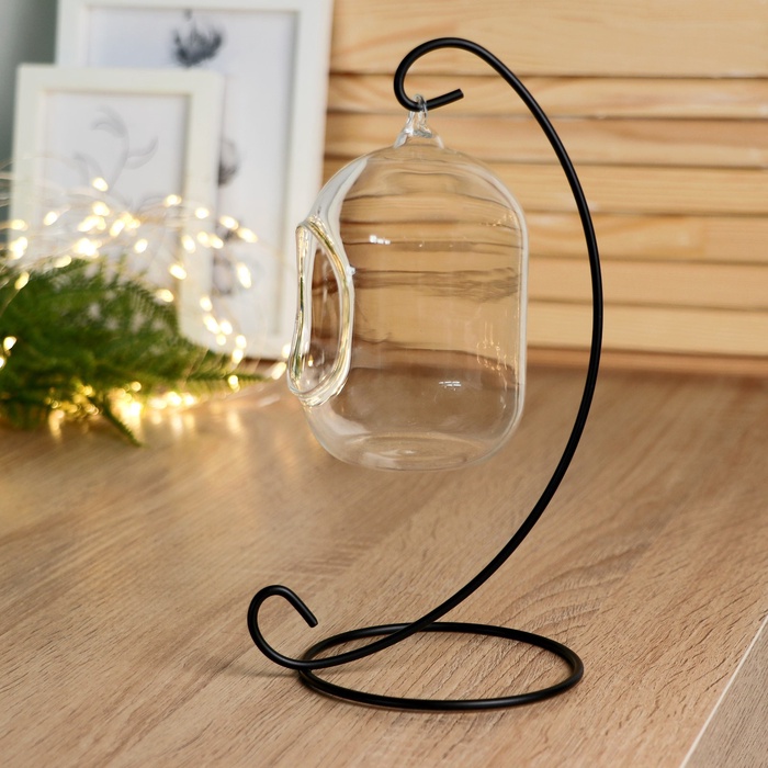 Флорариум «Цилиндр», на подвесе, 12×8 см, h=23 см, стекло, прозрачный, чёрный