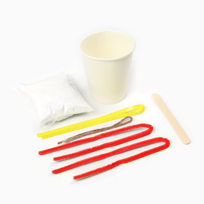 Выращивание новогоднего кристалла «DISNEY. Микки Маус», набор для опытов