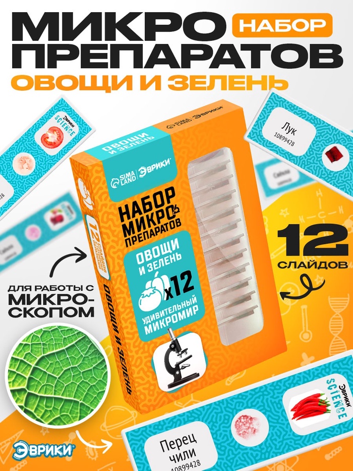 Набор для опытов «Набор микропрепаратов», овощи и зелень