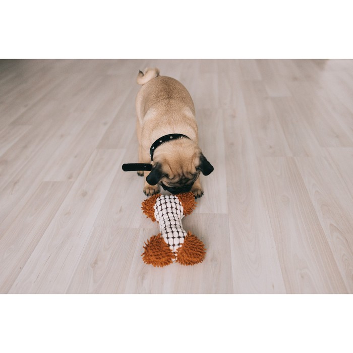 Игрушка мягкая для собак «Особая кость», 20×12 см, с пищалкой, двутканевая, белая, коричневая