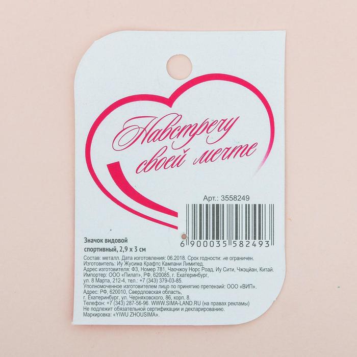 Значок спортивный для гимнастки «Гимнастика», 2.9×3 см