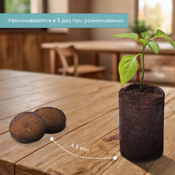 Таблетки торфяные, для рассады, d=4.2 см, с оболочкой, набор 50 шт.