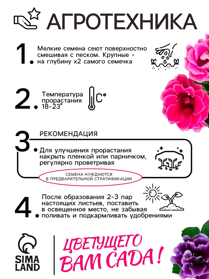 Семена комнатных цветов Глоксиния «Махровая смесь», F1, «Агроуспех», 5 шт.
