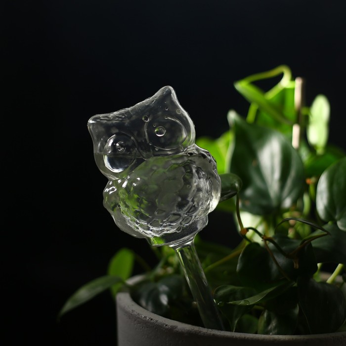 Автополив для комнатных растений «Сова», 200 мл, ПВХ, Greengo