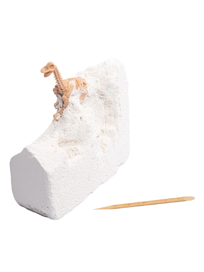 Настольная игра «Раскопки. Большой набор юного палеонтолога», 5 динозавров