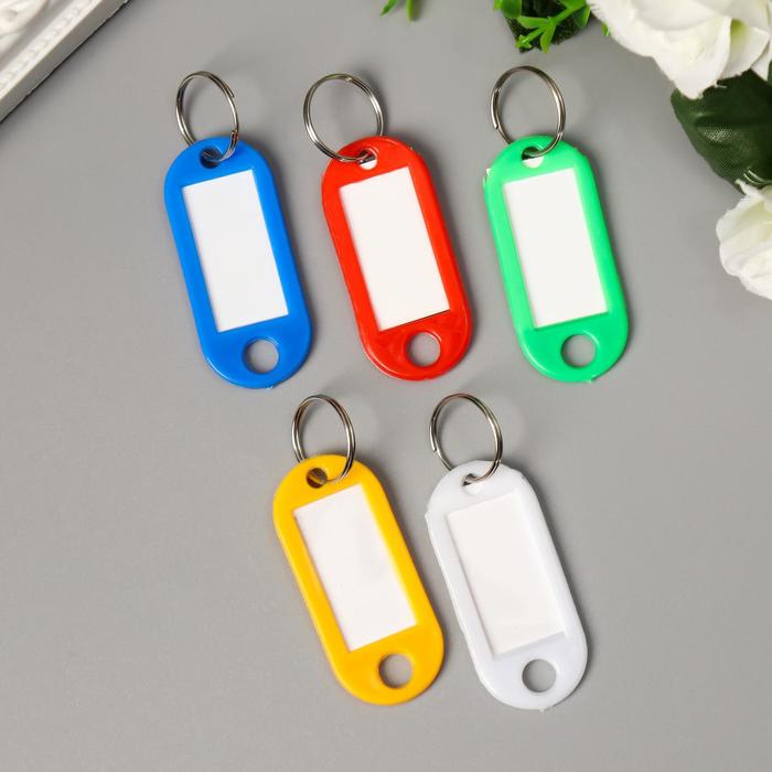 Бирка для ключей на кольце «Идентификатор стандарт», 4.8×2 см, МИКС