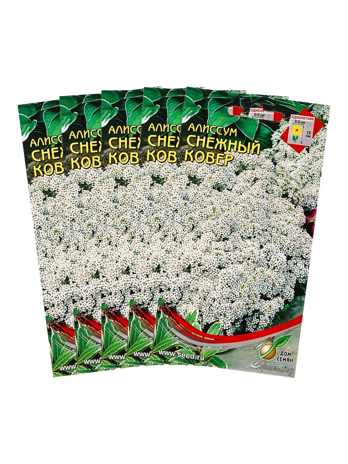 Набор семян Алиссум "Снежный ковер", 5 шт.