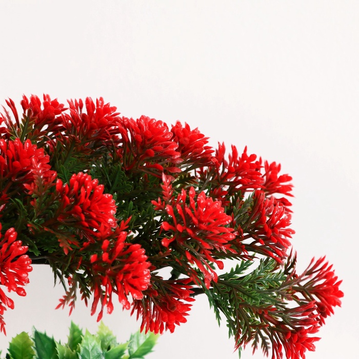 Бонсай в горшке «Селагинелла африканская», 10×20 см, МИКС