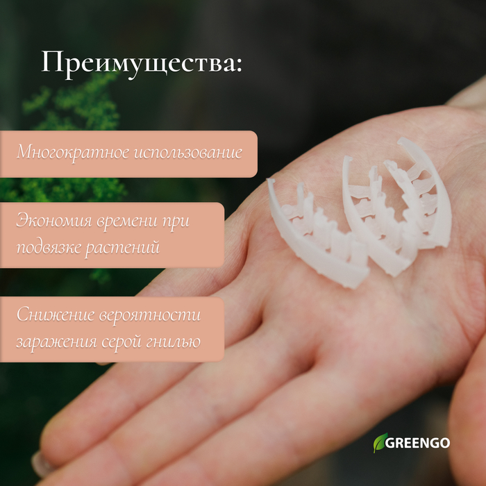 Кистедержатель «Улитка», 4 см, набор 50 шт., Greengo
