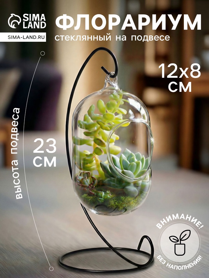 Флорариум «Цилиндр», на подвесе, 12×8 см, h=23 см, стекло, прозрачный, чёрный