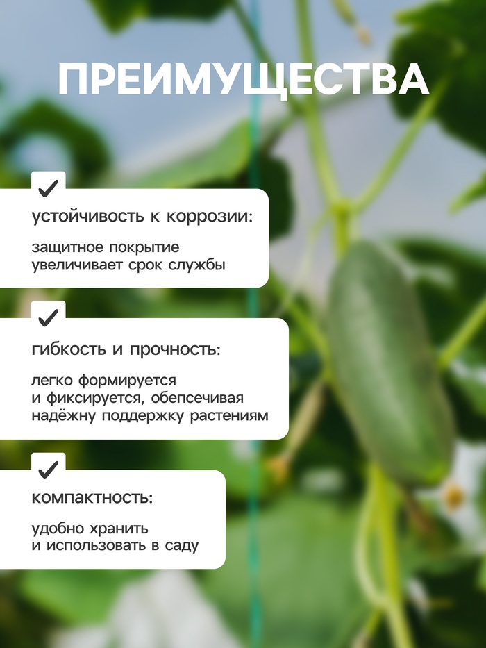 Проволока для подвязки растений, 50 м, металл, зелёная, Greengo