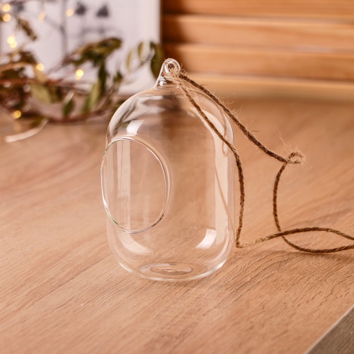 Флорариум «Цилиндр», с верёвкой, d=5×6 см, 8×12 см