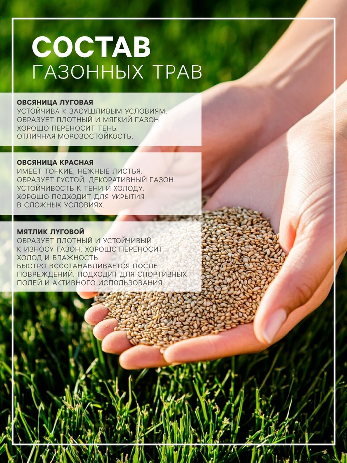 Газонная травосмесь «Гном» 20 кг