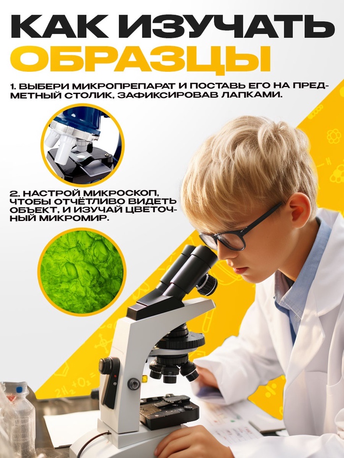 Набор для опытов «Набор микропрепаратов», растения