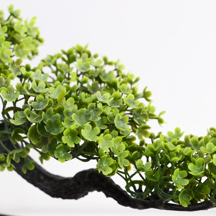 Бонсай в горшке «Делоникс», 10.5×15 см