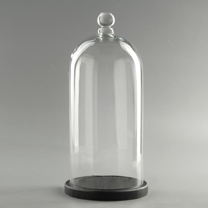 Стеклянный купол - клош с шариком на деревянной подставке «Родрик», 34×15 см, стекло, чёрный