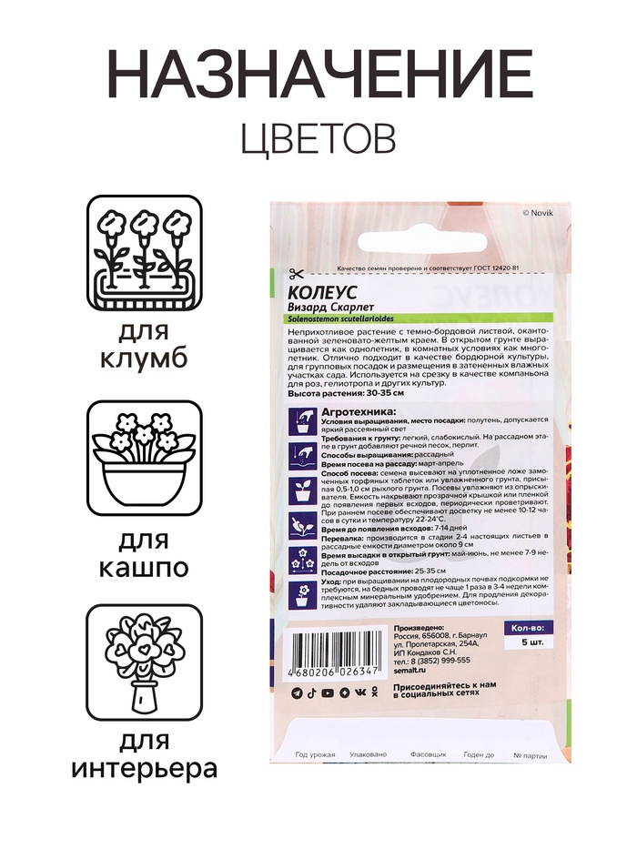 Семена комнатных цветов Колеус «Визард Скарлет», 5 шт., «Семена Алтая»
