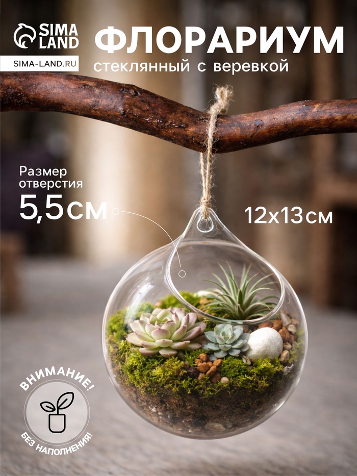 Флорариум «Шар капля», с верёвкой, 12×12×13 см, стекло, прозрачный