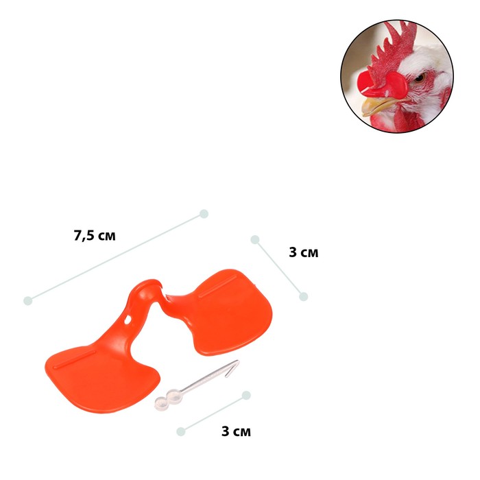 Очки для птиц, со стрелой, пластик, Greengo