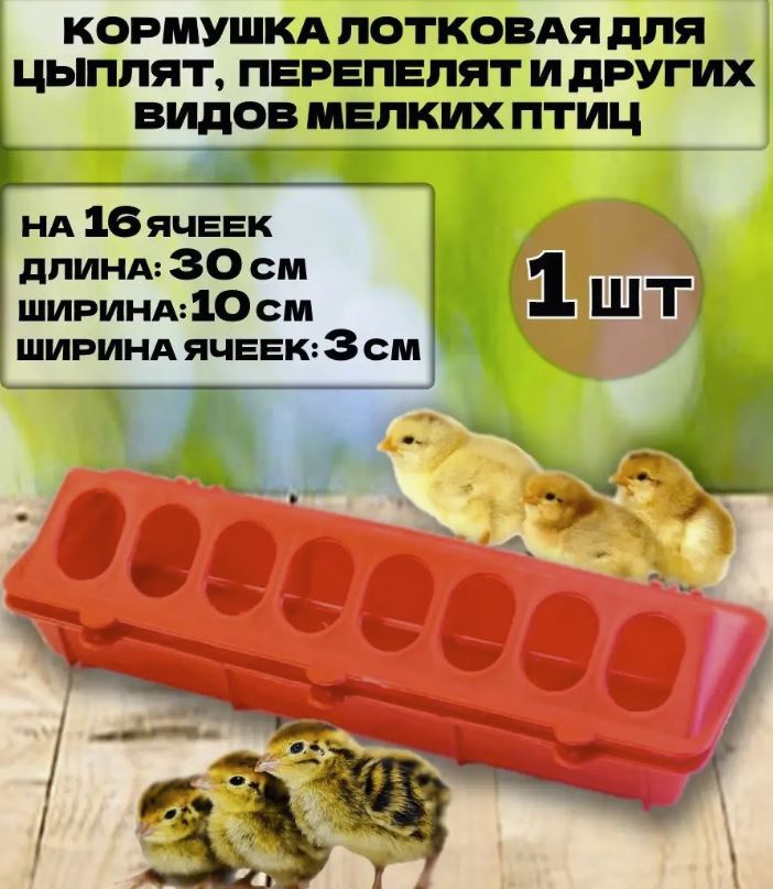 15151655