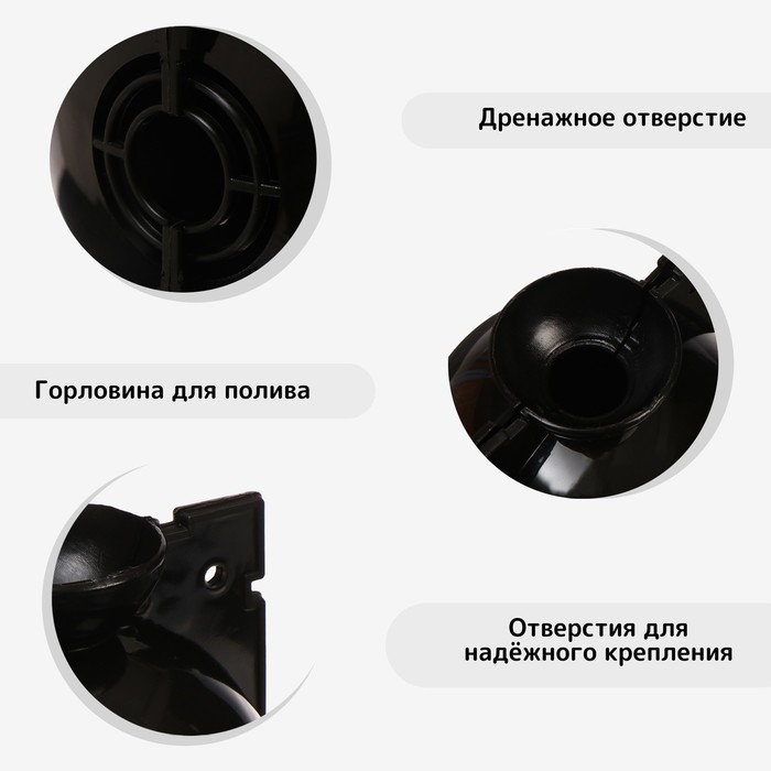 Шар для укоренения растений, d=5.5 см, под ветку 0.5 см, чёрный, Greengo