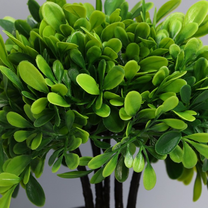 Бонсай в горшке «Листья фикуса», 11×21 см