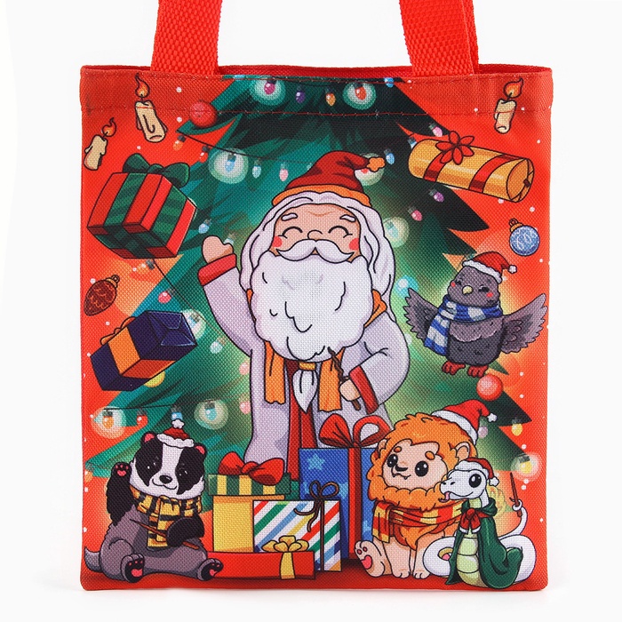 Мешок для конфет «Волшебник», детский шопер, 22×20 см