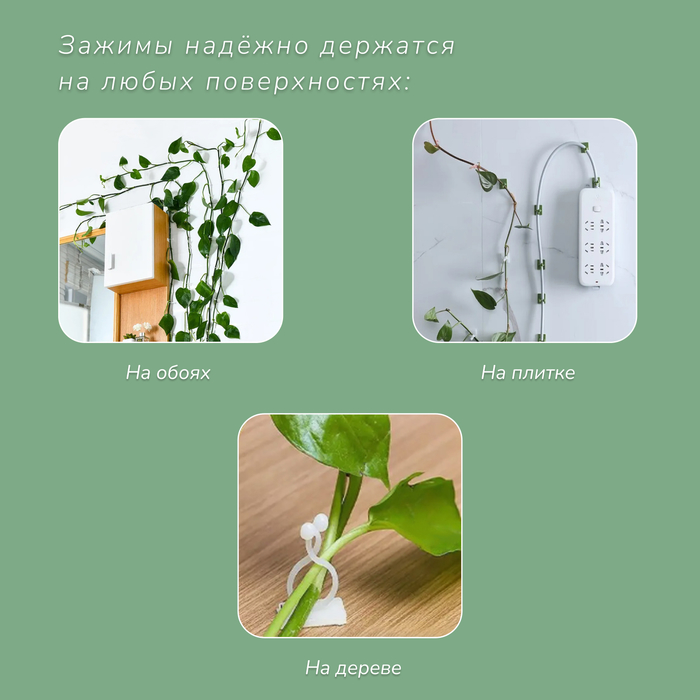 Крепления для вьющихся растений, самоклеящиеся, d=15 мм, цвет МИКС, Greengo