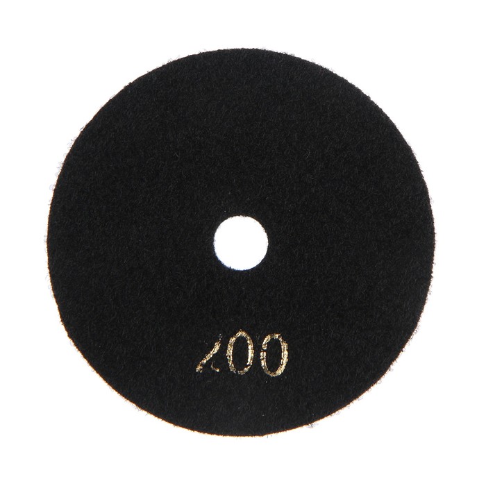 Алмазный гибкий шлифовальный круг ТУНДРА «Черепашка», для мокрой шлифовки, 100 мм, № 200