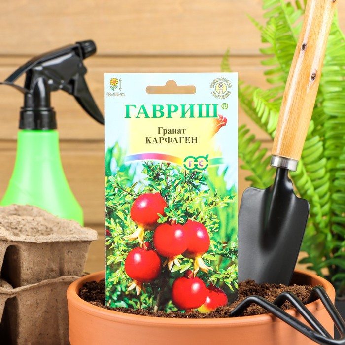 Семена комнатных цветов Гранат «Карфаген», 5 шт., «Гавриш»
