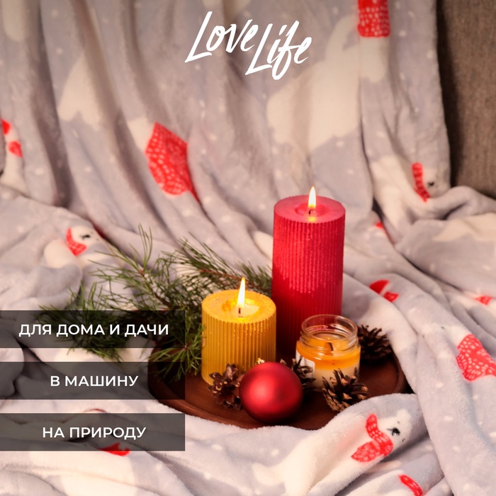 Плед «LoveLife. Северные мишки» 200×220 см, велсофт