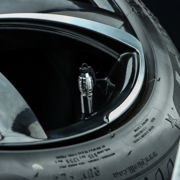 Колпачок на вентиль TORSO граната, хром, набор 4 шт.