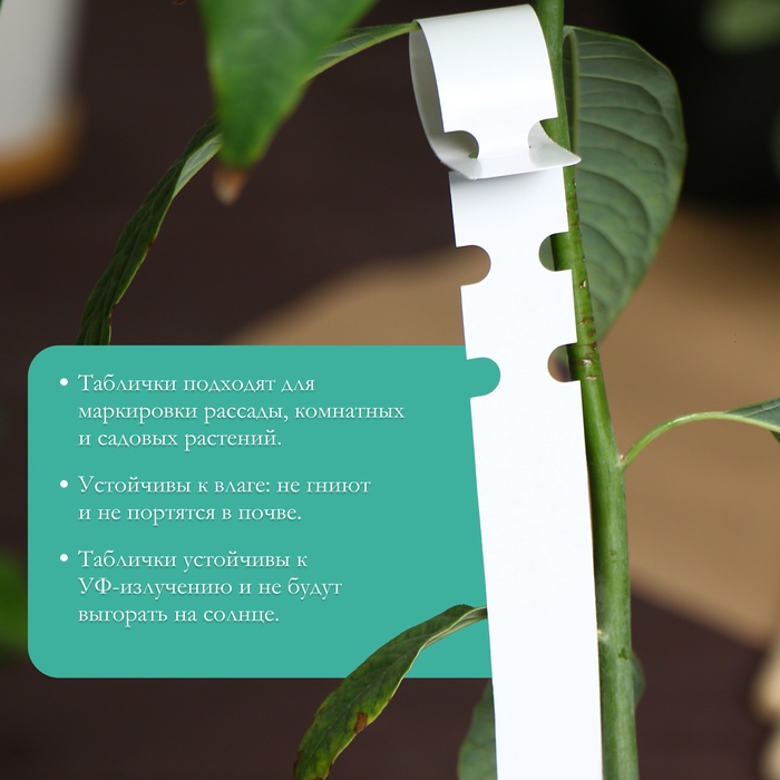 Бирки-петельки садовые, для маркировки растений, 21×2 см, набор 20 шт., пластик, МИКС, Greengo