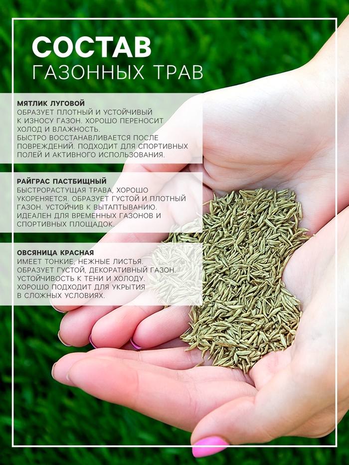 Газонная травосмесь «Гринкипер» «Спортивная», 10 кг