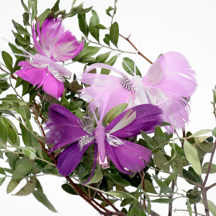 Бабочка для декора и флористики, на прищепке, пластиковая, сиреневый, МИКС, 8×5×1 см