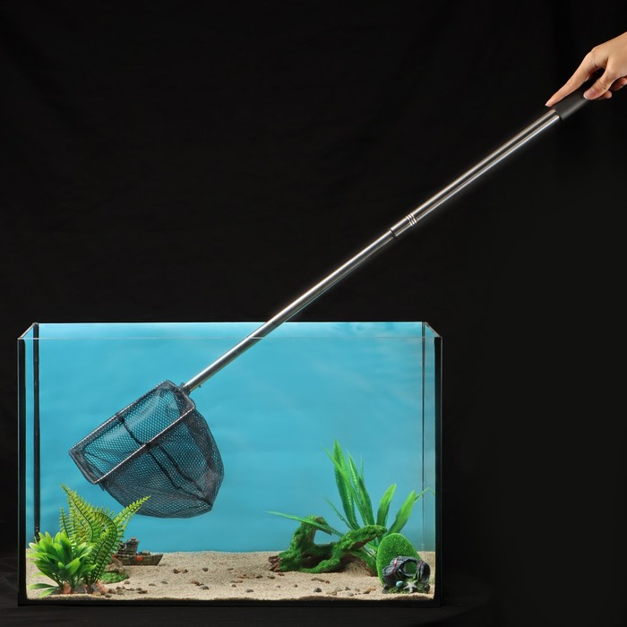 Сачок аквариумный, 20×20 см, телескопический, длина до 100 см