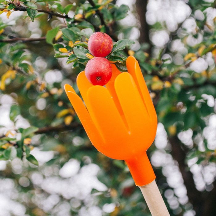 Плодосъемник, d=11 см, под черенок диаметром 25 мм, «Тюльпан», МИКС