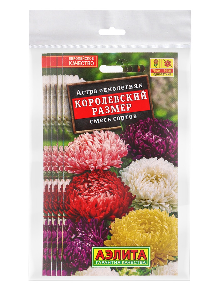Набор семян Астра "Королевский размер", смесь окрасок, О, 5 шт.