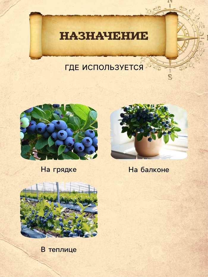 Грунт для Голубики PETER PEAT, линия «Хобби», 20 л